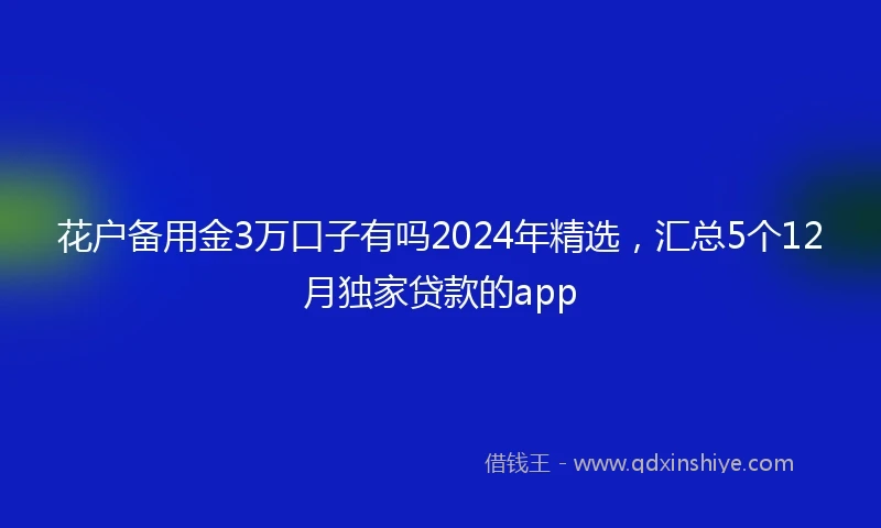 花户备用金3万口子有吗2024年精选，汇总5个12月独家贷款的app