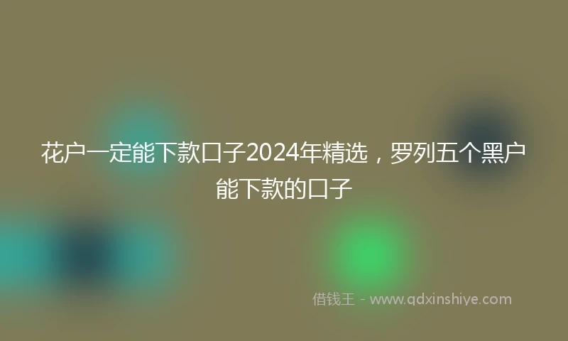 花户一定能下款口子2024年精选，罗列五个黑户能下款的口子