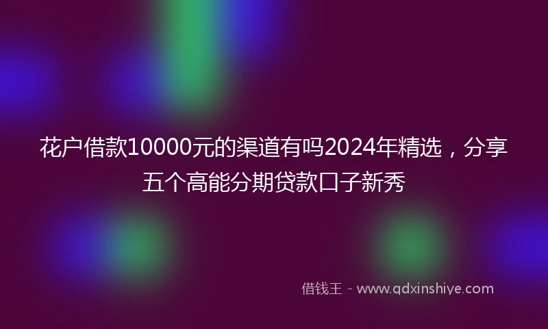 花户借款10000元的渠道有吗2024年精选，分享五个高能分期贷款口子新秀