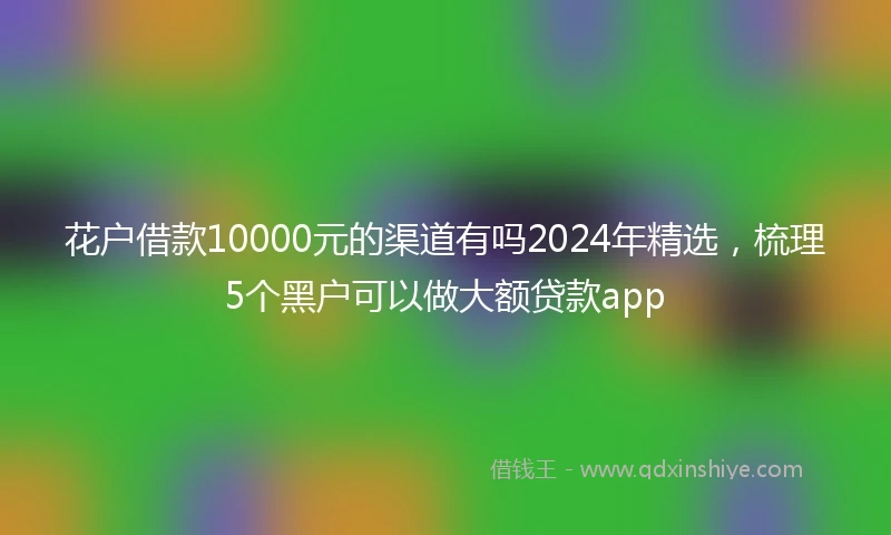 花户借款10000元的渠道有吗2024年精选，梳理5个黑户可以做大额贷款app