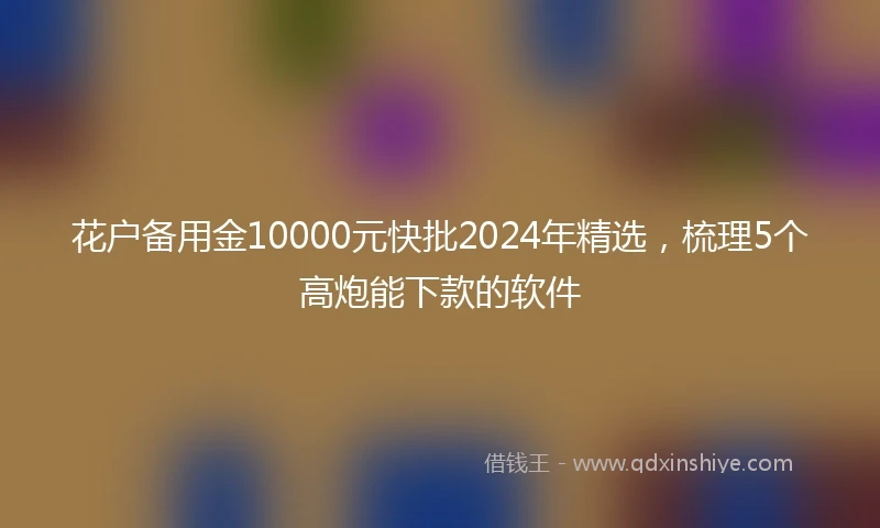 花户备用金10000元快批2024年精选，梳理5个高炮能下款的软件