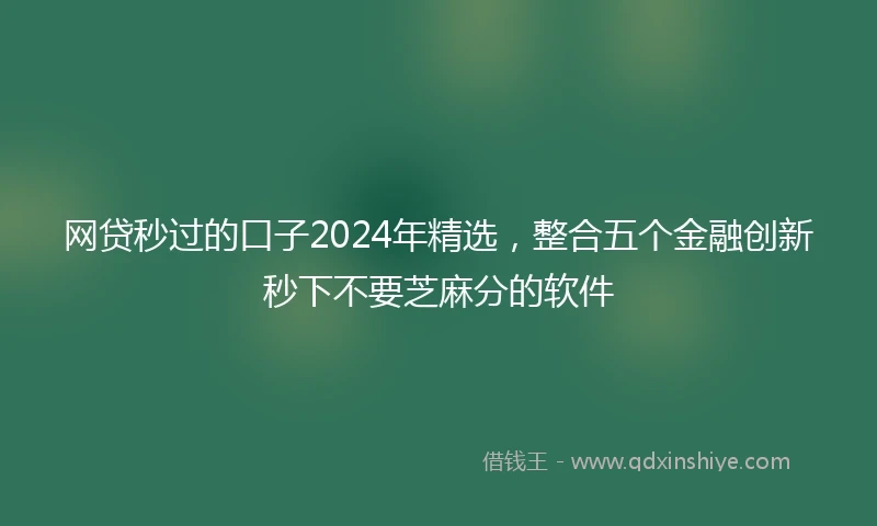网贷秒过的口子2024年精选，整合五个金融创新秒下不要芝麻分的软件
