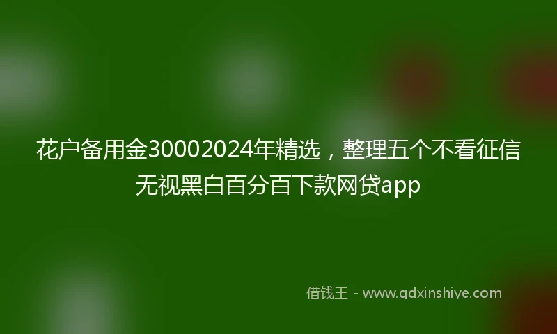 花户备用金30002024年精选，整理五个不看征信无视黑白百分百下款网贷app