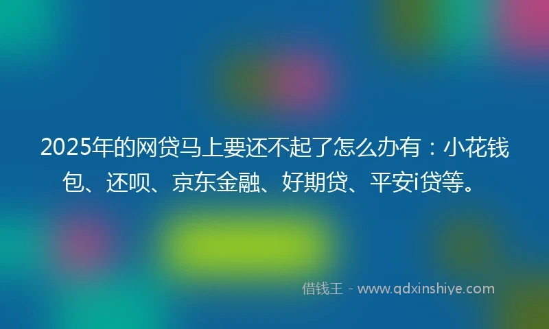 2025年的网贷马上要还不起了怎么办有：小花钱包、还呗、京东金融、好期贷、平安i贷等。