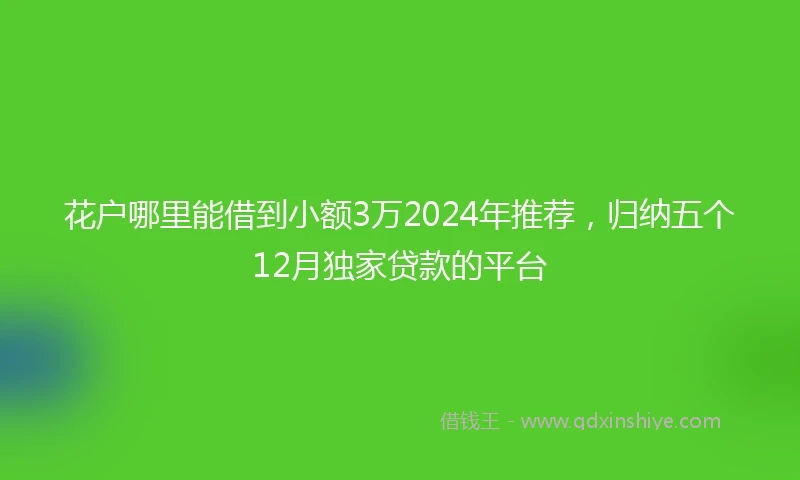 花户哪里能借到小额3万2024年推荐，归纳五个12月独家贷款的平台