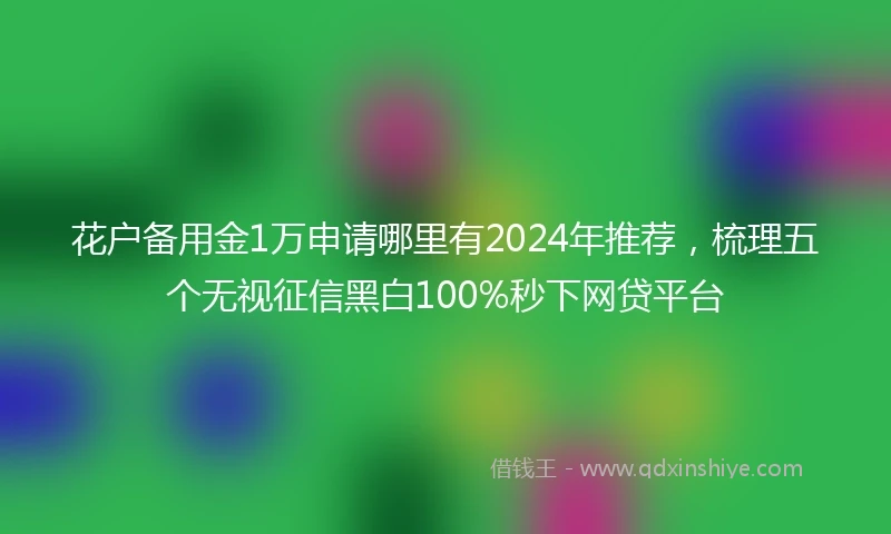 花户备用金1万申请哪里有2024年推荐，梳理五个无视征信黑白100%秒下网贷平台
