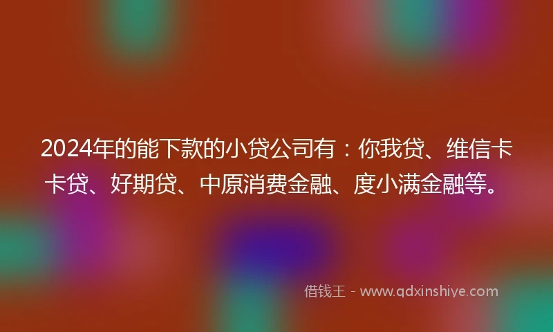 2024年的能下款的小贷公司有：你我贷、维信卡卡贷、好期贷、中原消费金融、度小满金融等。