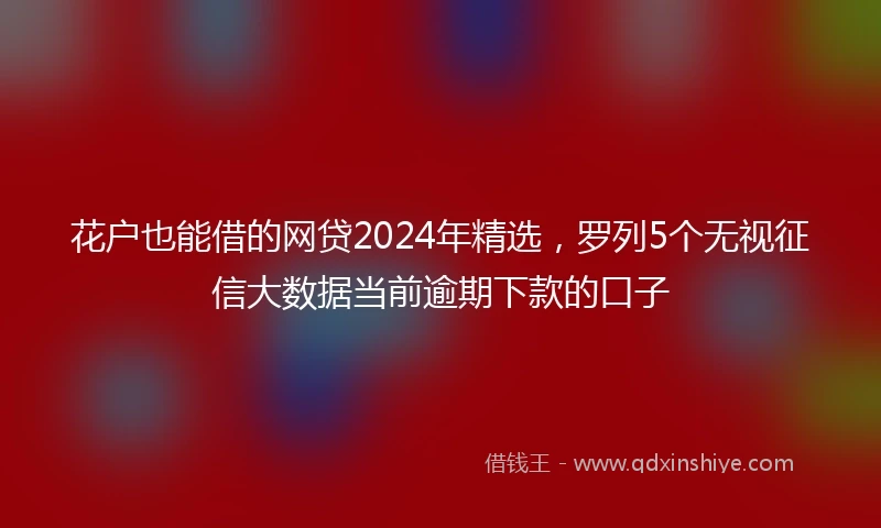 花户也能借的网贷2024年精选，罗列5个无视征信大数据当前逾期下款的口子