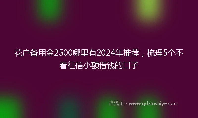 花户备用金2500哪里有2024年推荐，梳理5个不看征信小额借钱的口子