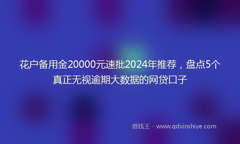 花户备用金20000元速批2024年推荐，盘点5个真正无视逾期大数据的网贷口子