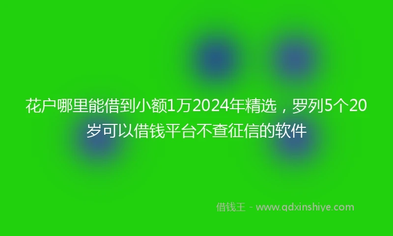 花户哪里能借到小额1万2024年精选,罗列5个20岁可以借钱平台不查征信的软件