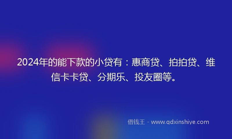 2024年的能下款的小贷有：惠商贷、拍拍贷、维信卡卡贷、分期乐、投友圈等。