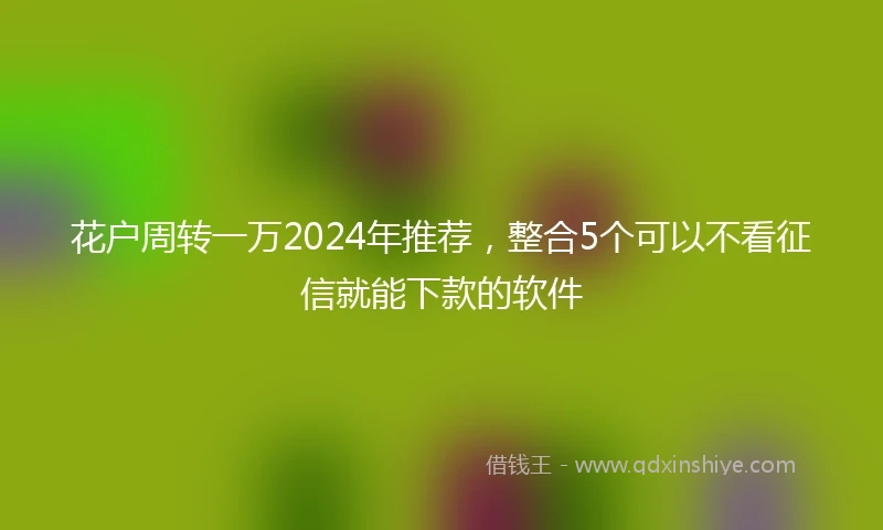 花户周转一万2024年推荐，整合5个可以不看征信就能下款的软件