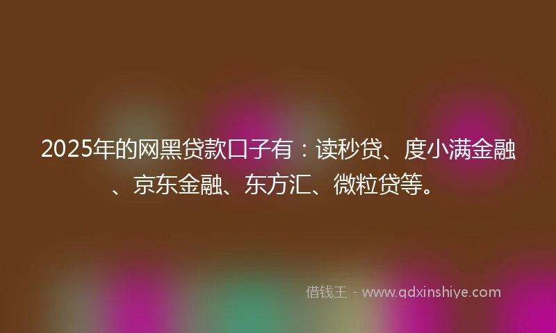 2025年的网黑贷款口子有：读秒贷、度小满金融、京东金融、东方汇、微粒贷等。