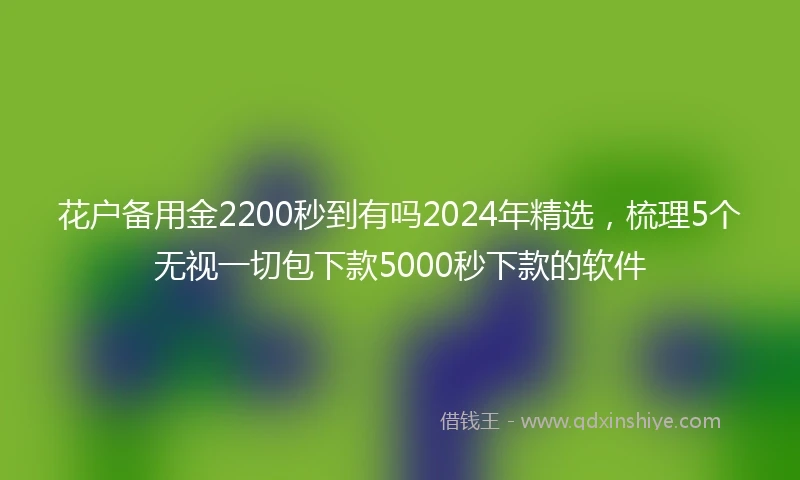 花户备用金2200秒到有吗2024年精选，梳理5个无视一切包下款5000秒下款的软件