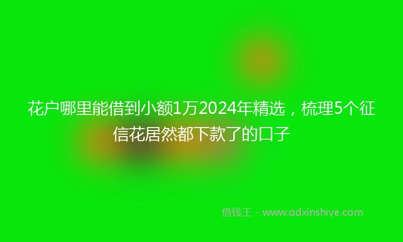花户哪里能借到小额1万2024年精选，梳理5个征信花居然都下款了的口子