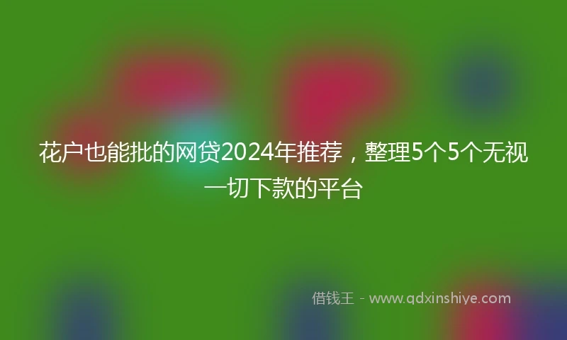 花户也能批的网贷2024年推荐，整理5个5个无视一切下款的平台