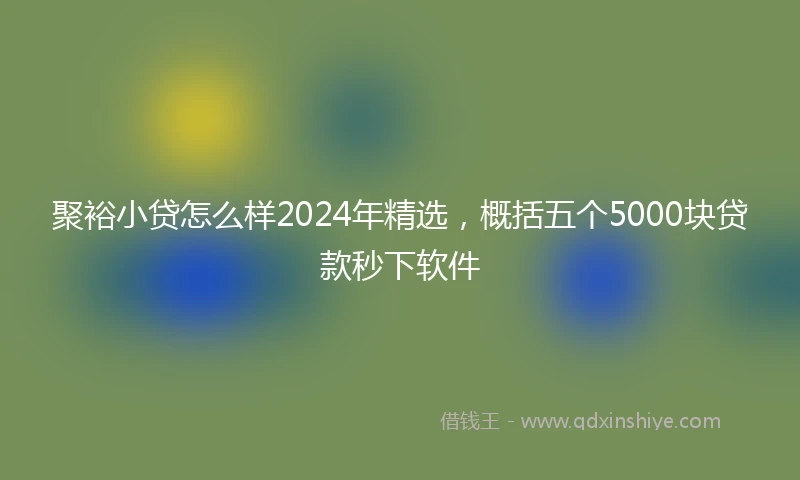 聚裕小贷怎么样2024年精选，概括五个5000块贷款秒下软件