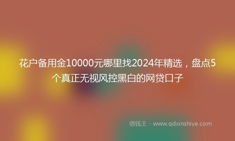 花户备用金10000元哪里找2024年精选，盘点5个真正无视风控黑白的网贷口子