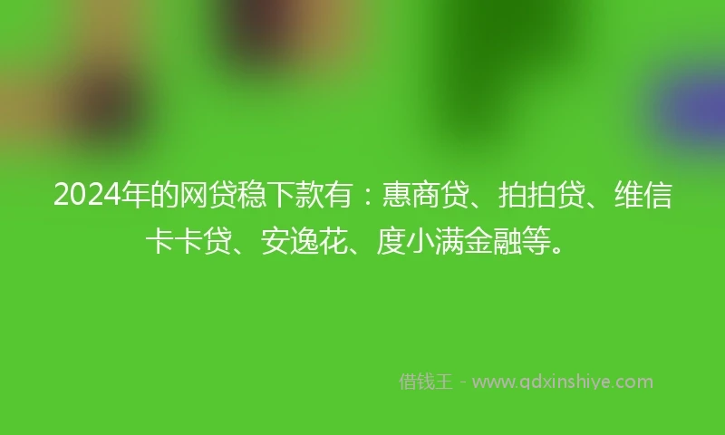 2024年的网贷稳下款有：惠商贷、拍拍贷、维信卡卡贷、安逸花、度小满金融等。