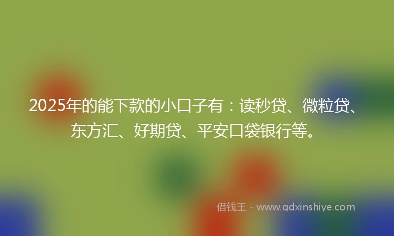 2025年的能下款的小口子有：读秒贷、微粒贷、东方汇、好期贷、平安口袋银行等。