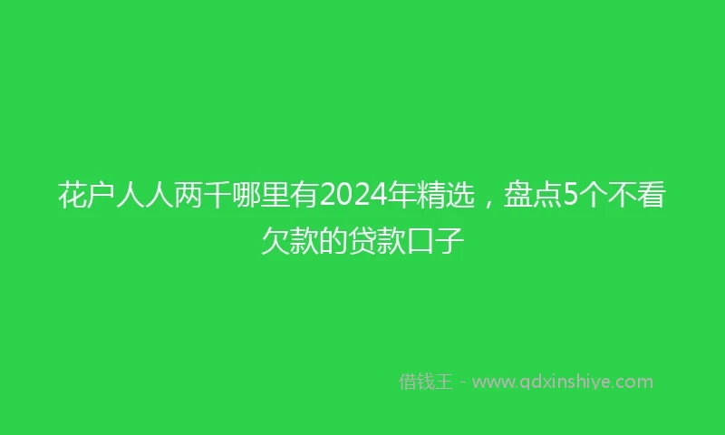 花户人人两千哪里有2024年精选，盘点5个不看欠款的贷款口子