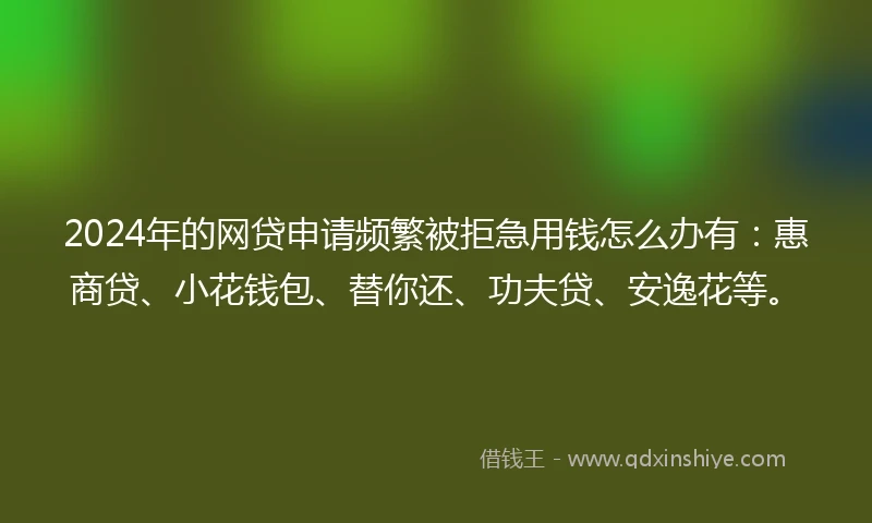 2024年的网贷申请频繁被拒急用钱怎么办有：惠商贷、小花钱包、替你还、功夫贷、安逸花等。