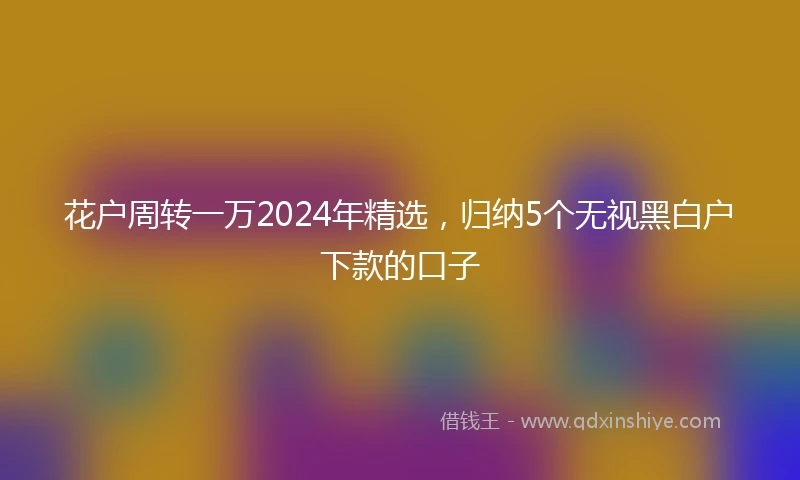 花户周转一万2024年精选，归纳5个无视黑白户下款的口子