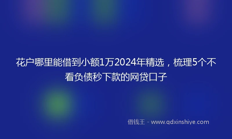 花户哪里能借到小额1万2024年精选，梳理5个不看负债秒下款的网贷口子