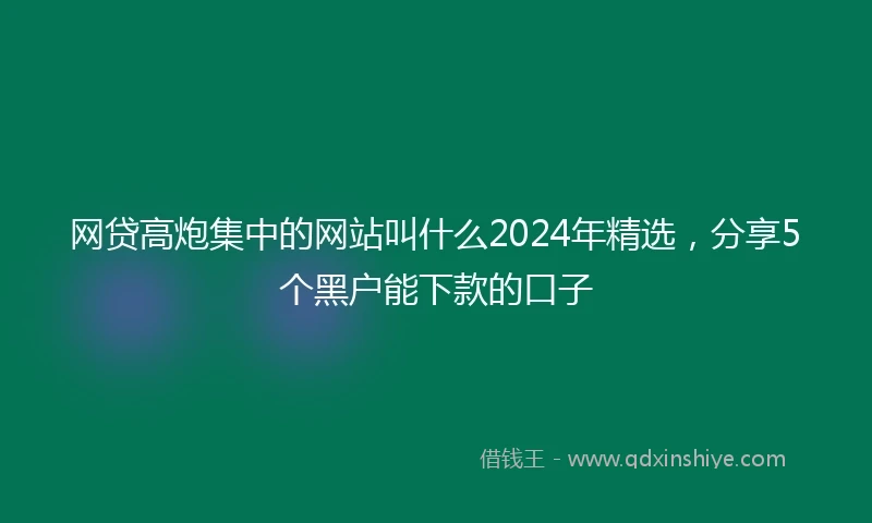 网贷高炮集中的网站叫什么2024年精选，分享5个黑户能下款的口子