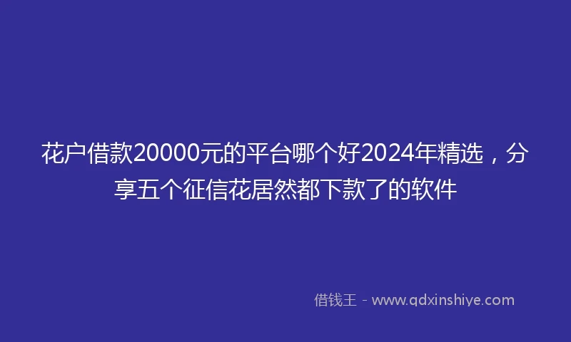 花户借款20000元的平台哪个好2024年精选，分享五个征信花居然都下款了的软件