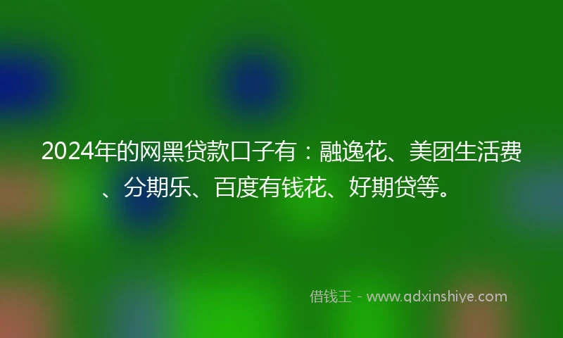2024年的网黑贷款口子有：融逸花、美团生活费、分期乐、百度有钱花、好期贷等。