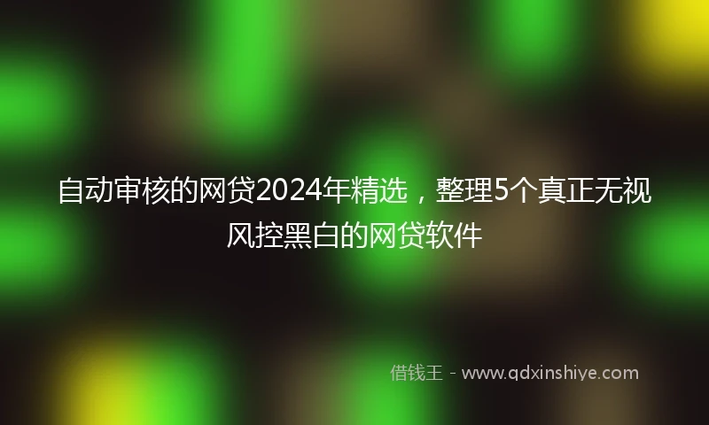 自动审核的网贷2024年精选，整理5个真正无视风控黑白的网贷软件
