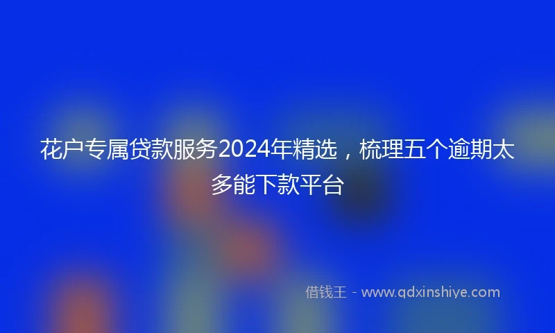 花户专属贷款服务2024年精选，梳理五个逾期太多能下款平台