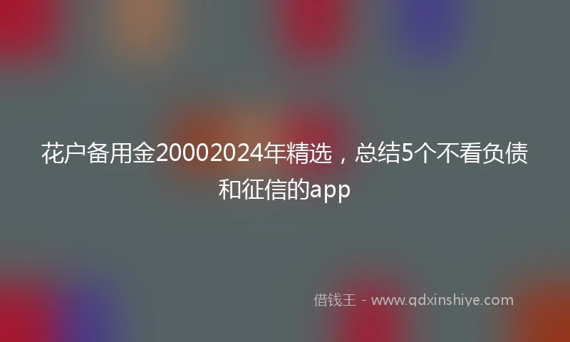花户备用金20002024年精选，总结5个不看负债和征信的app