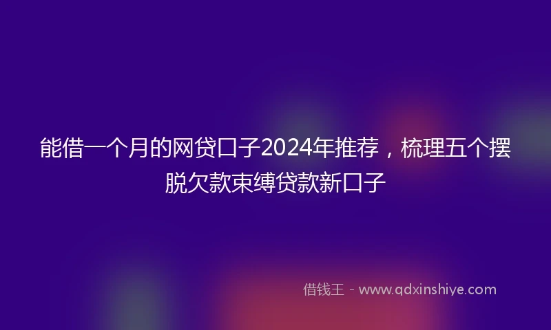 能借一个月的网贷口子2024年推荐，梳理五个摆脱欠款束缚贷款新口子