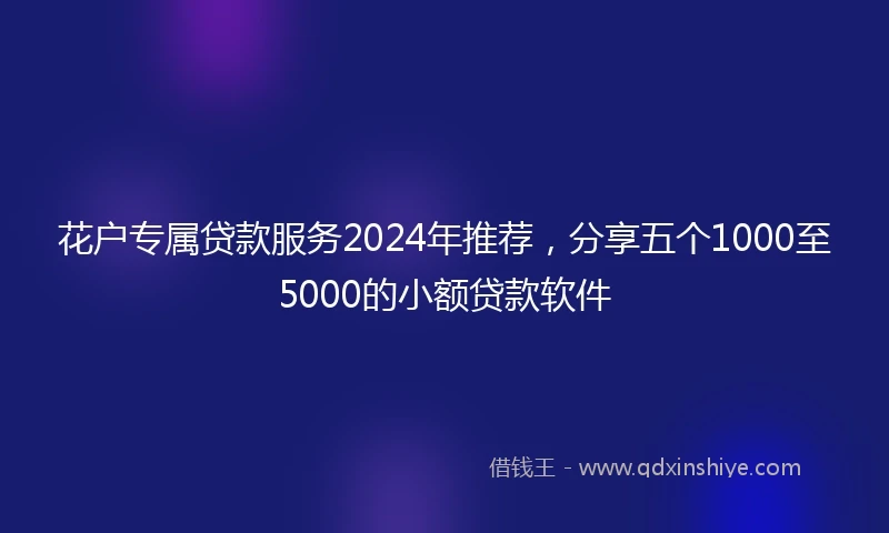 花户专属贷款服务2024年推荐，分享五个1000至5000的小额贷款软件