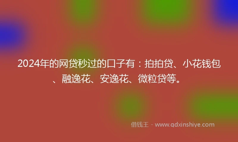 2024年的网贷秒过的口子有：拍拍贷、小花钱包、融逸花、安逸花、微粒贷等。