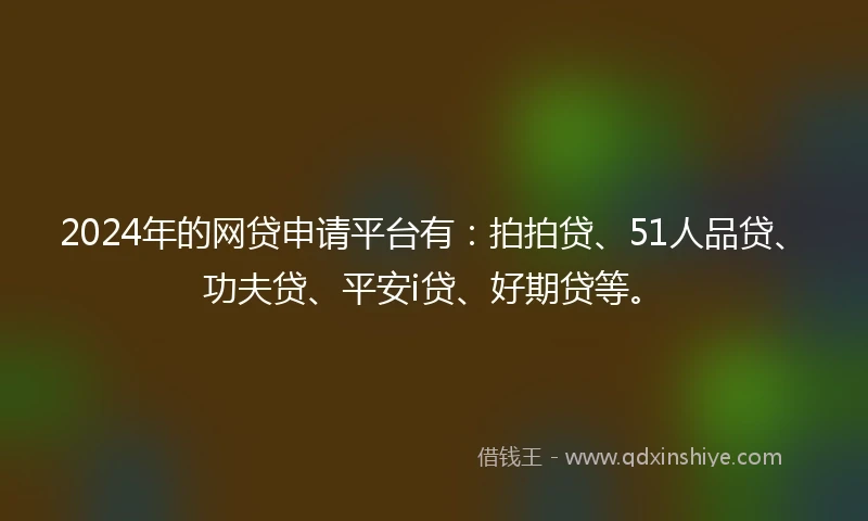 2024年的网贷申请平台有：拍拍贷、51人品贷、功夫贷、平安i贷、好期贷等。
