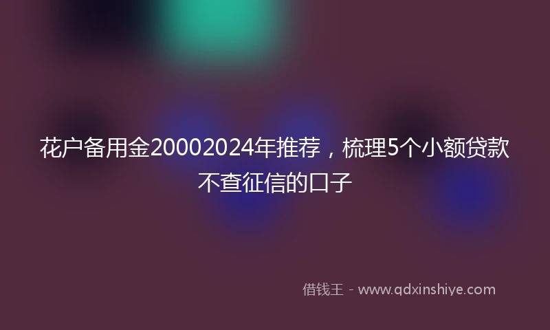 花户备用金20002024年推荐，梳理5个小额贷款不查征信的口子