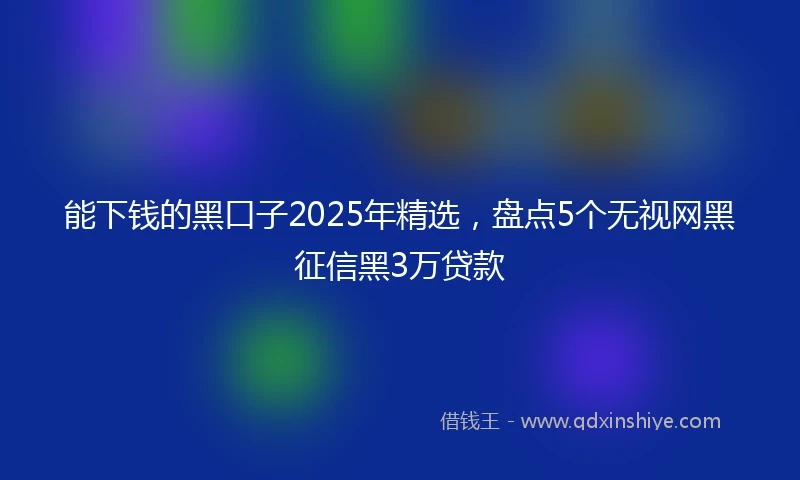 能下钱的黑口子2025年精选，盘点5个无视网黑征信黑3万贷款