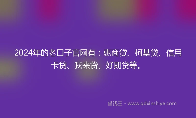 2024年的老口子官网有：惠商贷、柯基贷、信用卡贷、我来贷、好期贷等。