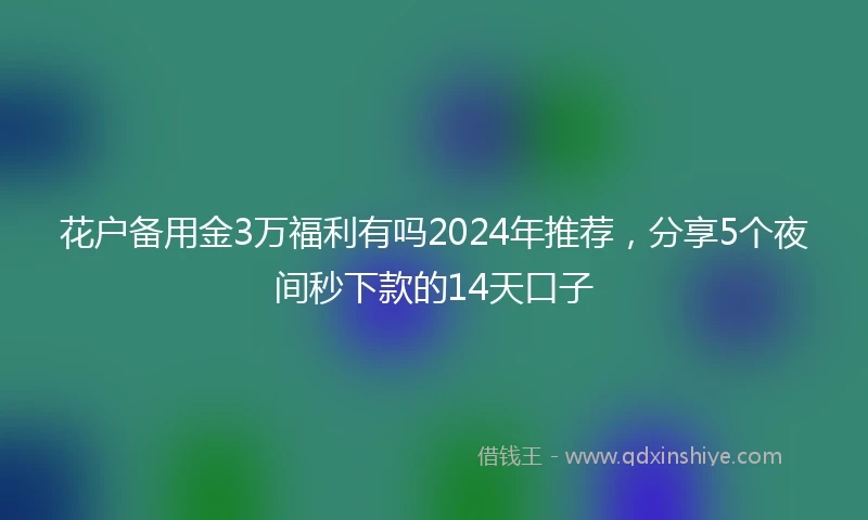 花户备用金3万福利有吗2024年推荐，分享5个夜间秒下款的14天口子