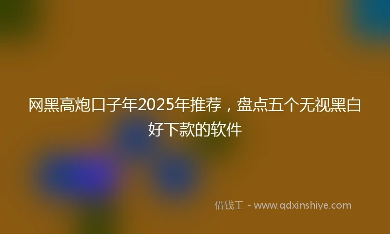 网黑高炮口子年2025年推荐，盘点五个无视黑白好下款的软件