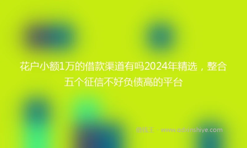 花户小额1万的借款渠道有吗2024年精选，整合五个征信不好负债高的平台