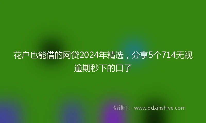 花户也能借的网贷2024年精选，分享5个714无视逾期秒下的口子