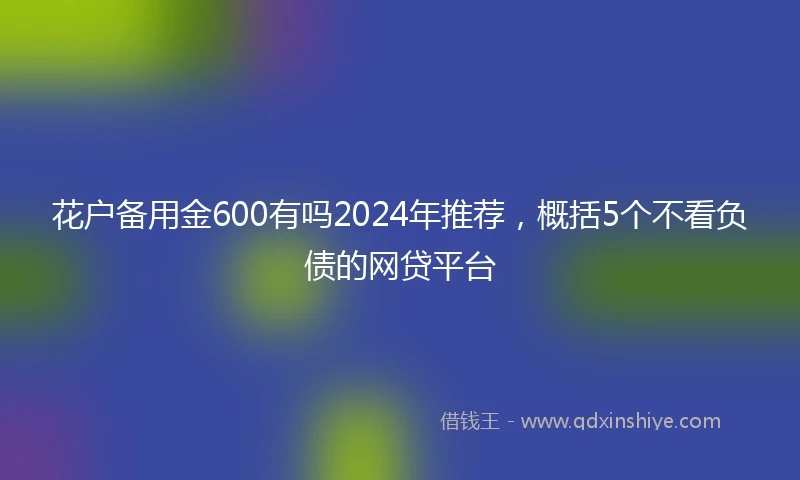 花户备用金600有吗2024年推荐，概括5个不看负债的网贷平台
