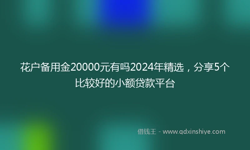 花户备用金20000元有吗2024年精选，分享5个比较好的小额贷款平台