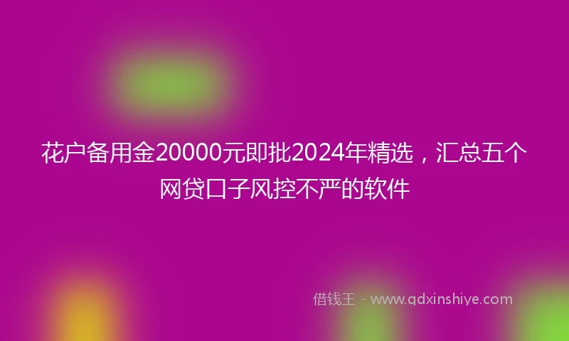 花户备用金20000元即批2024年精选，汇总五个网贷口子风控不严的软件