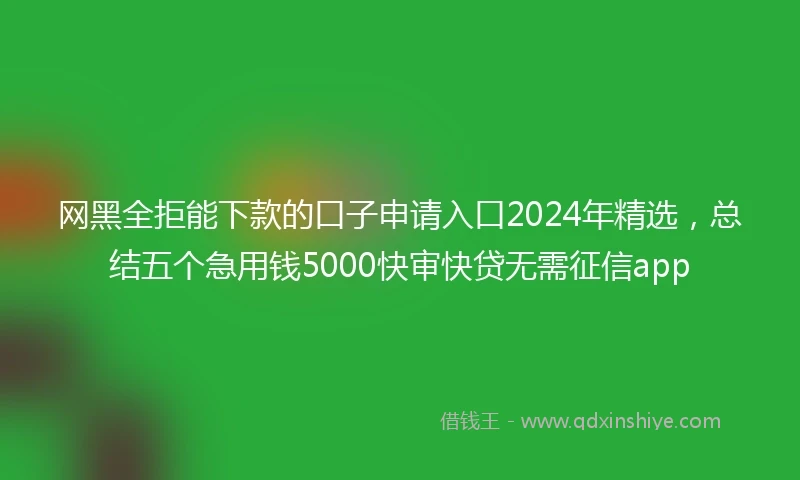 网黑全拒能下款的口子申请入口2024年精选，总结五个急用钱5000快审快贷无需征信app